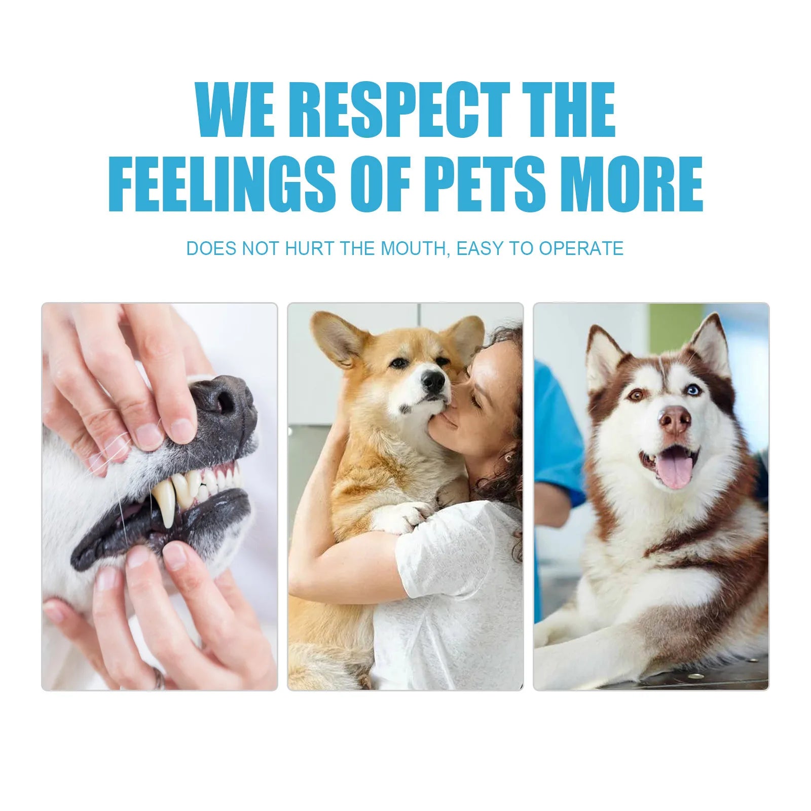 Pet Toothpaste for Dogs & Cats – Fresh Breath & Tartar Control Formula